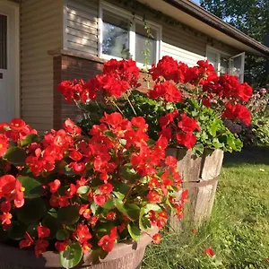 Séjour chez l'habitant Graham Homestay, Ottawa